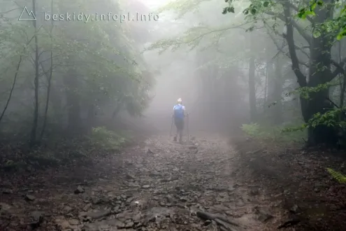 12-17.06.2020. Mały Szlak Beskidzki